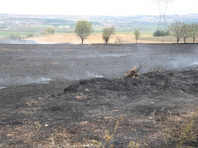 Edirne'de çıkan anız yangını söndürüldü