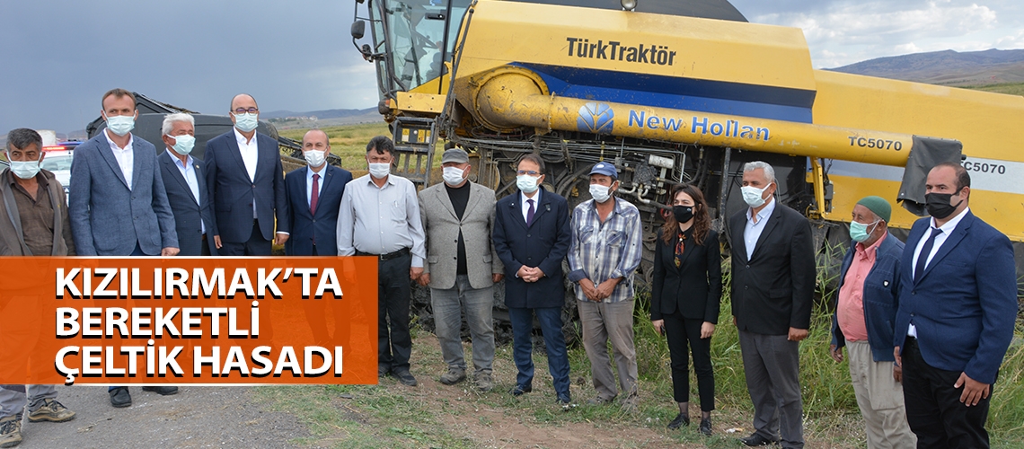 Kızılırmak’ta bereketli çeltik hasadı