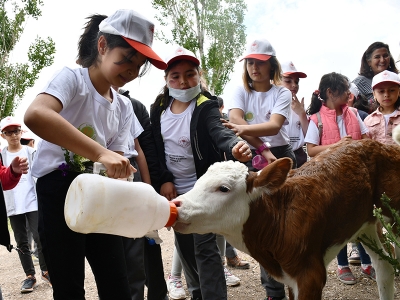 Çankırı’da Lider Çocuk Tarım Kampı düzenlendi