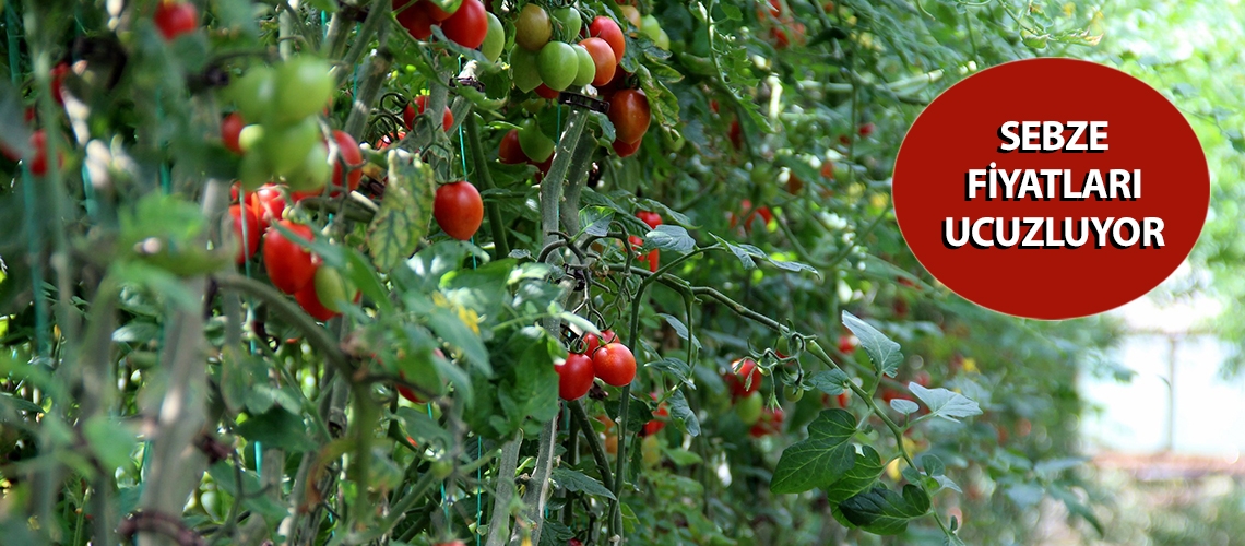 Sebze fiyatları ucuzluyor