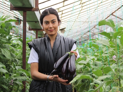 Sebze fiyatları ucuzluyor