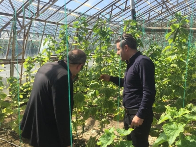 Antalya kaş’ta biyolojik mücadele eğitimi