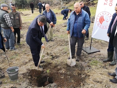 Çanakkale’de atıl araziler Antep fıstığı ile değerleniyor