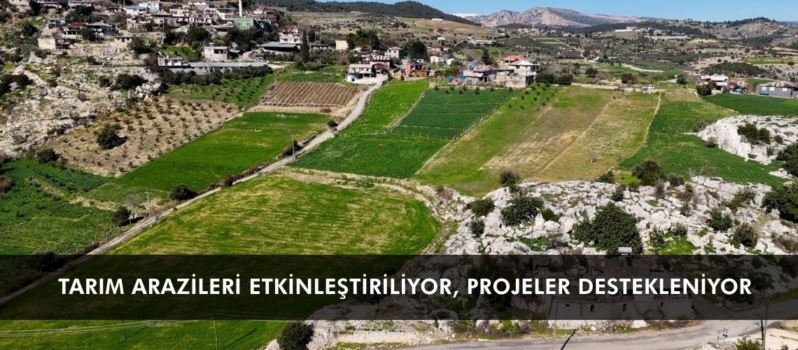 Tarım arazileri etkinleştiriliyor, projeler destekleniyor