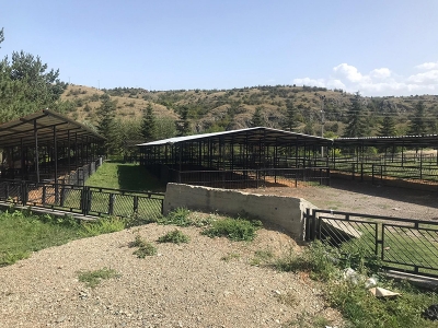 Kastamonu’da şap ve şarbon önlemleri