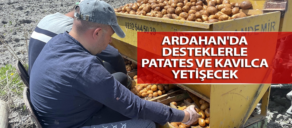 Ardahan'da desteklerle patates ve kavılca yetişecek
