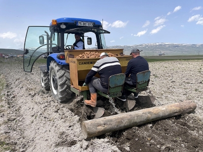 Ardahan'da desteklerle patates ve kavılca yetişecek