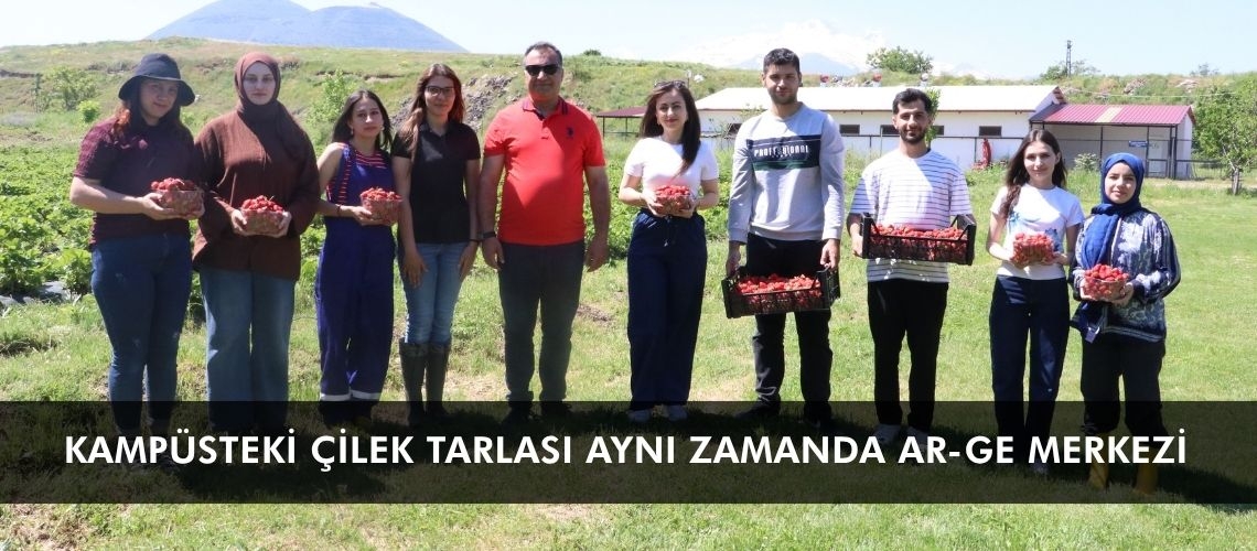 Kampüsteki çilek tarlası aynı zamanda AR-GE merkezi