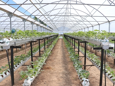 Tarım sektörü Ar-Ge projeleriyle desteklenecek