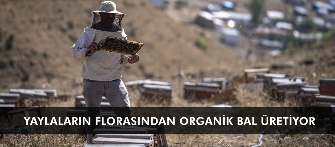 Yaylaların florasından organik bal üretiyor