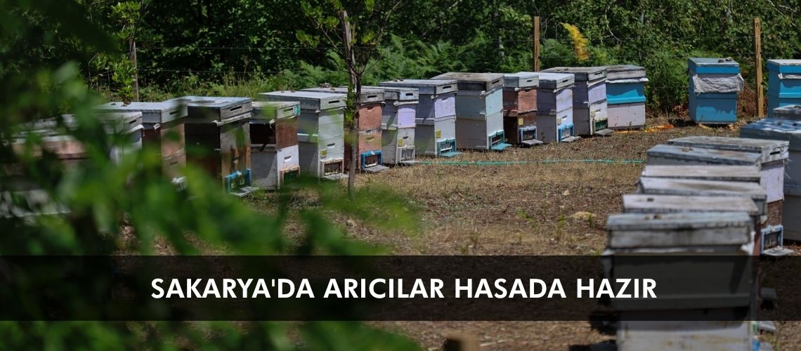 Sakarya'da arıcılar hasada hazır