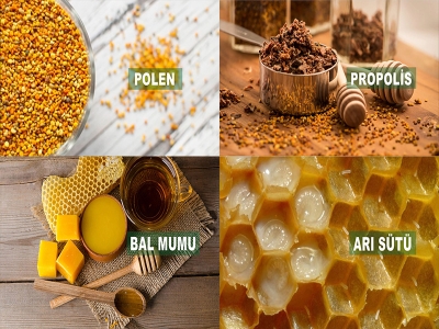 arı sütü bal polen propolis karışımının faydaları