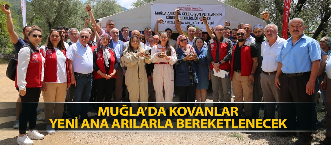 Muğla’da kovanlar yeni ana arılarla bereketlenecek