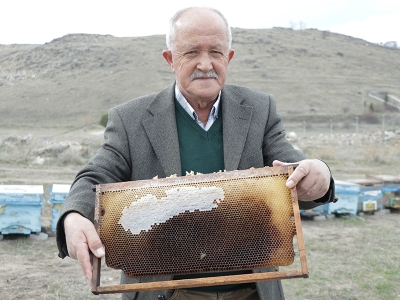 Yorgun arılar üreticiyi endişelendiriyor