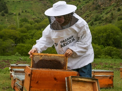 Biyosistem Mühendisi devlet desteğiyle arıcılığa başladı
