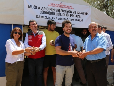 Muğla’da kovanlar yeni ana arılarla bereketlenecek