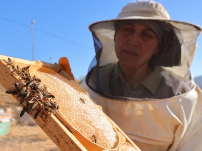 Şehirden köyüne döndü arıcı oldu
