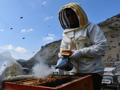 Kadın arıcı 3 ilde 4 çeşit bal üretiyor