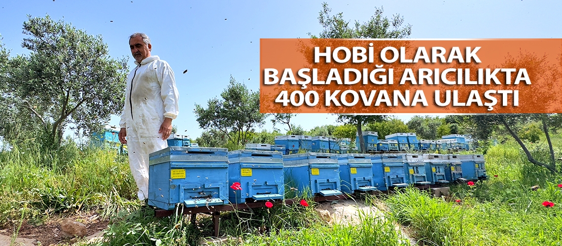 Hobi olarak başladığı arıcılıkta 400 kovana ulaştı