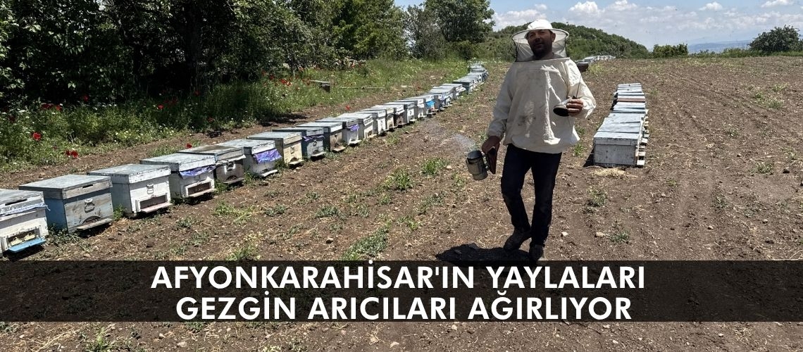 Afyonkarahisar'ın yaylaları gezgin arıcıları ağırlıyor
