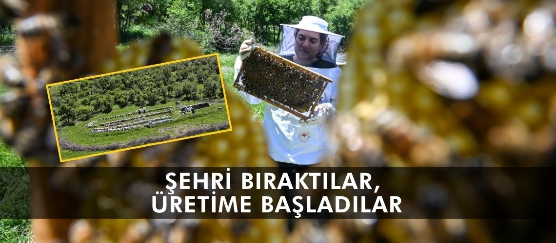 Şehri bıraktılar, üretime başladılar