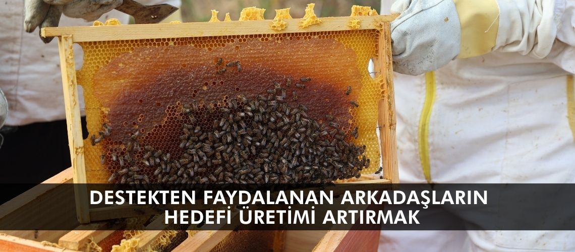 Destekten faydalanan arkadaşların hedefi üretimi artırmak