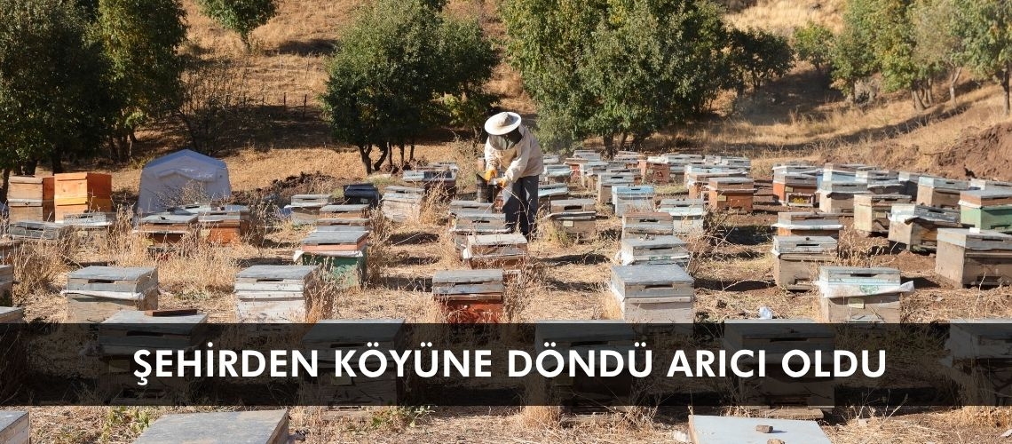 Şehirden köyüne döndü arıcı oldu