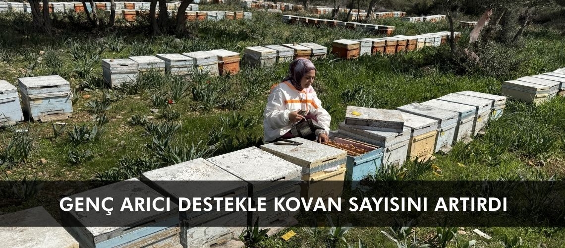 Genç arıcı destekle kovan sayısını artırdı