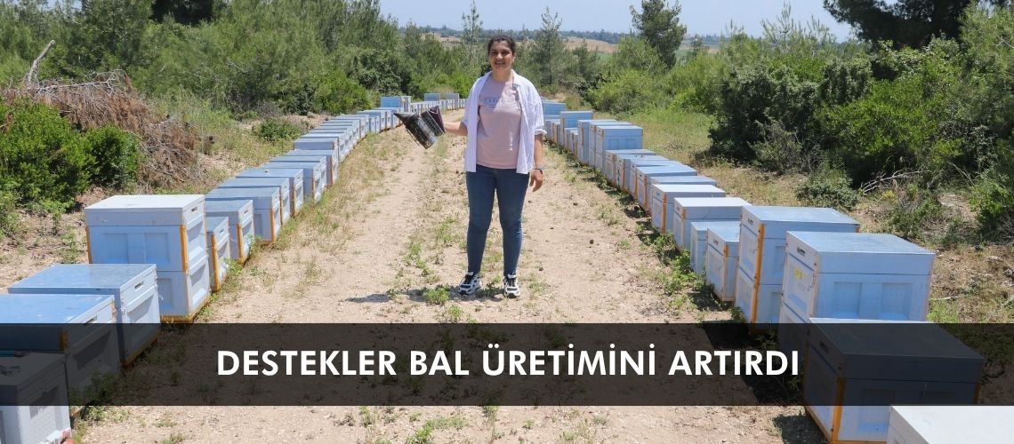 Destekler bal üretimini artırdı