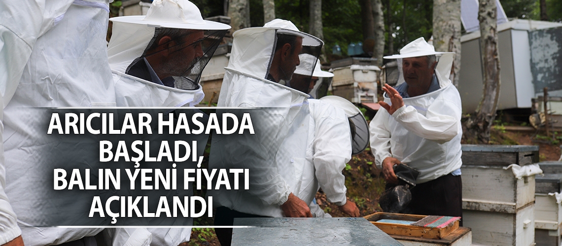Arıcılar hasada başladı, balın yeni fiyatı açıklandı