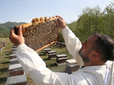 Arıcılar göç için hazırlıklarını sürdürüyor