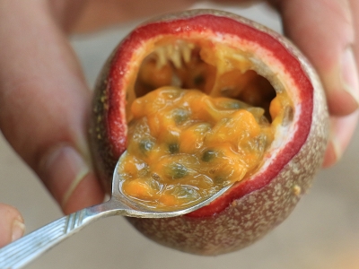 Genç çiftçinin “çarkıfelek” başarısı