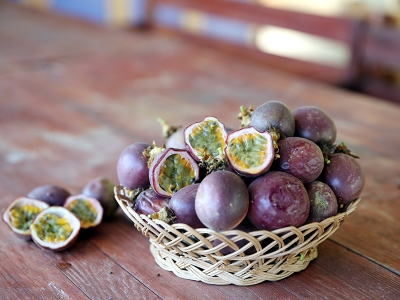Çarkıfelek üretimine yoğun ilgi
