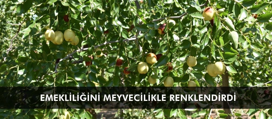 Emekliliğini meyvecilikle renklendirdi