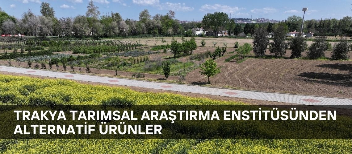 Trakya Tarımsal Araştırma Enstitüsünden alternatif ürünler