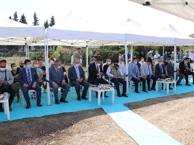 Yalova’da aronya için hasat vakti