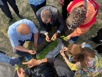 Aronya ve limon otu fideleri toprakla buluştu