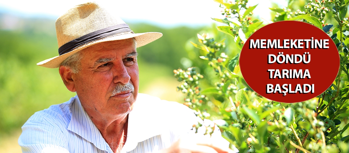 Memleketine döndü tarıma başladı