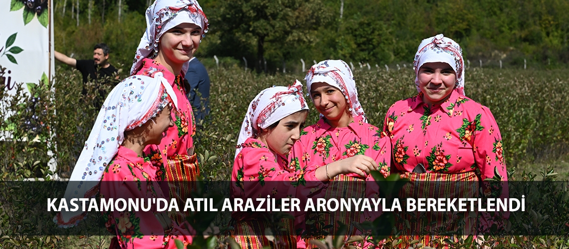 Kastamonu'da atıl araziler aronyayla bereketlendi