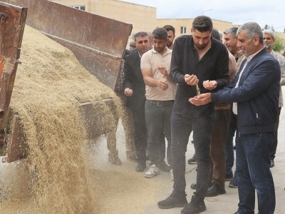 Mardin'de sezonun ilk arpa hasadı yapıldı