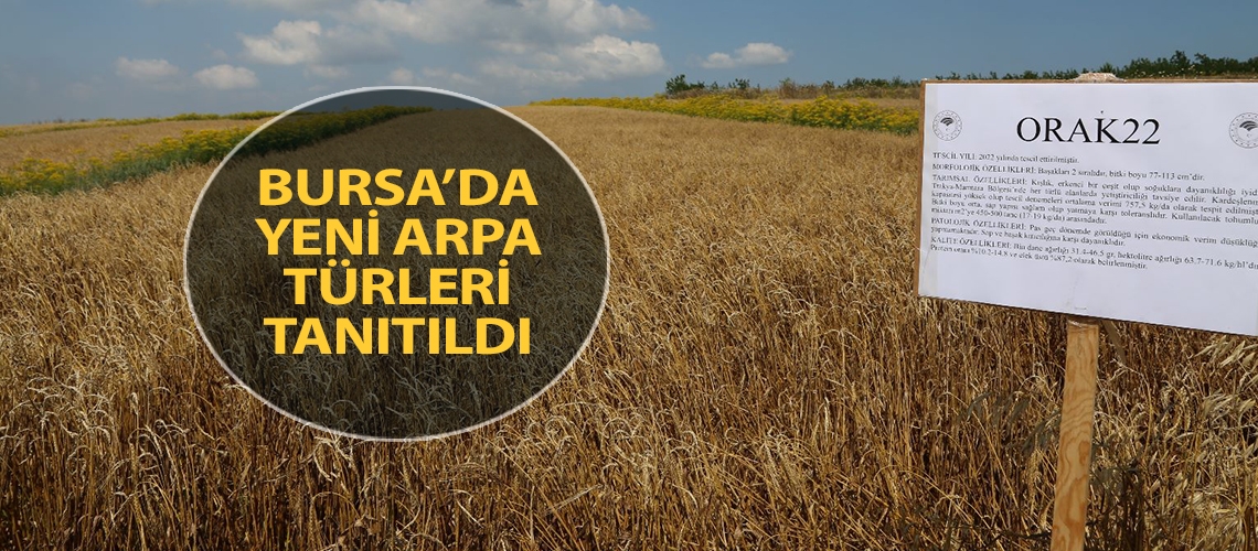 Bursa’da yeni arpa türleri tanıtıldı