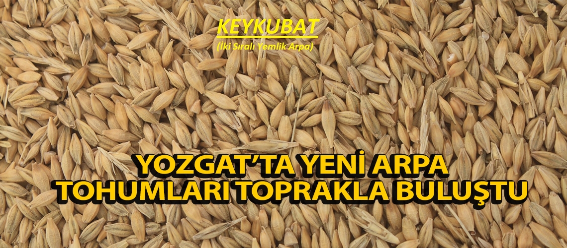 Yozgat’ta yeni arpa tohumları toprakla buluştu