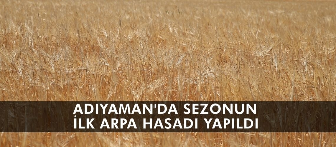 Adıyaman'da sezonun ilk arpa hasadı yapıldı