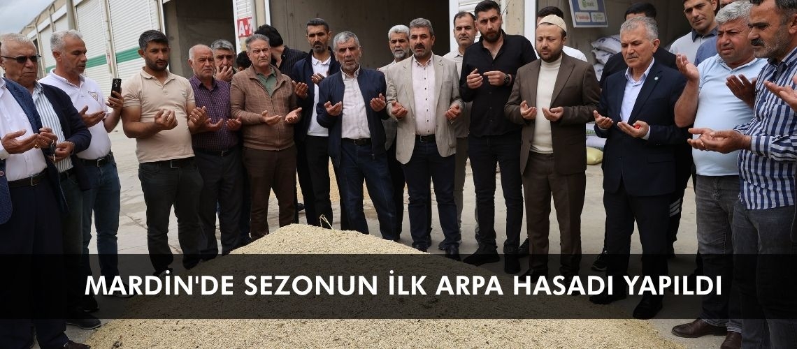 Mardin'de sezonun ilk arpa hasadı yapıldı