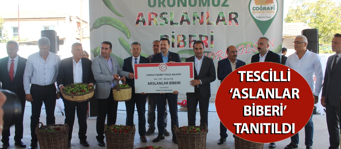 Tescilli ‘aslanlar biberi’ tanıtıldı