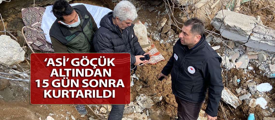 ‘Asi’ göçük altından 15 gün sonra kurtarıldı