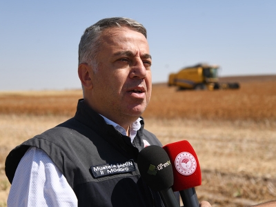 Kayseri’de ‘aspir’ hasadı başladı