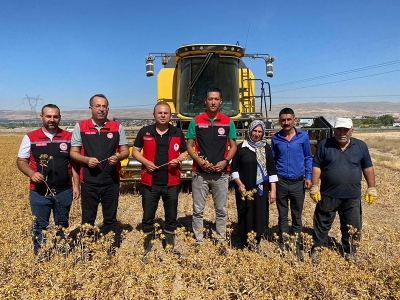 Aspir hasadı başladı