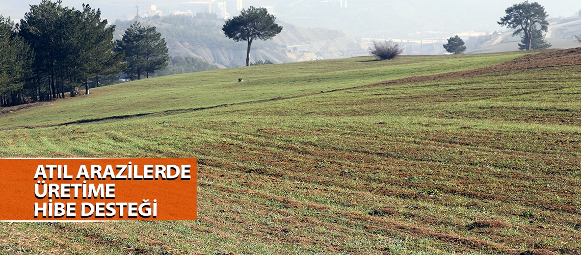 Atıl arazilerde üretime hibe desteği