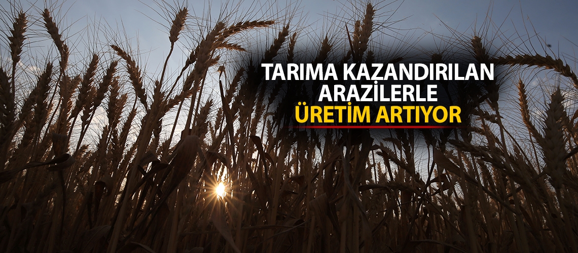 Tarıma kazandırılan arazilerle üretim artıyor